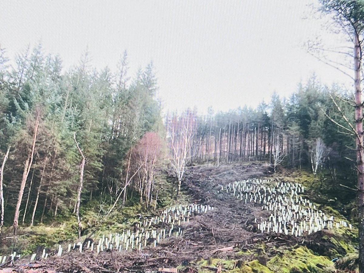 checkmate.uk.com tweet media