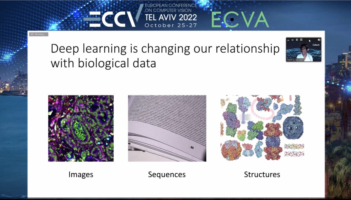 florianjug's tweet photo. This years BioImage Computing (BIC) Workshop is going down today in Tel Aviv at @eccvconf.
https://t.co/83Rq3nb7fq

The show gets started by Alexander @sagzehn Krull… first invited speaker is David @davidvanvalen.

Lots of great talks to come! 🎉 https://t.co/swSVFW0LCs