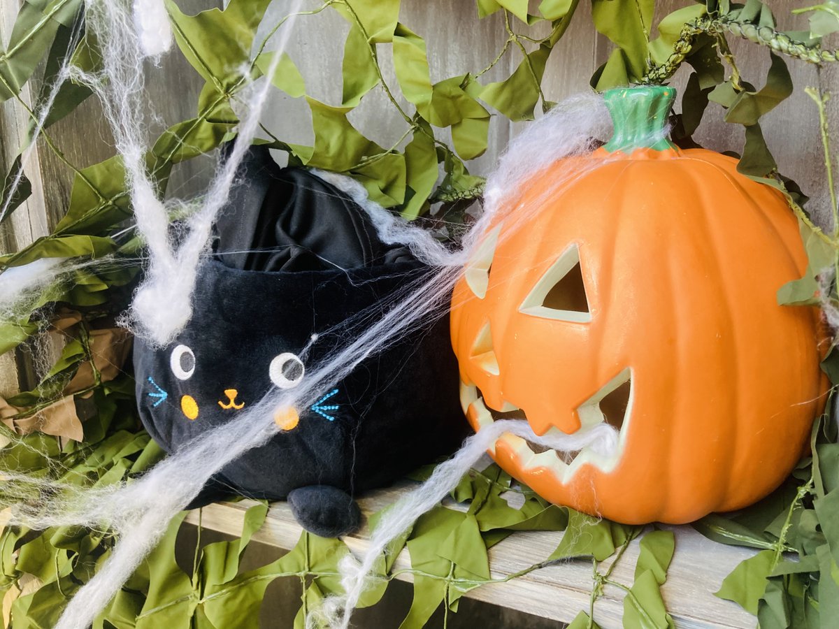 Check out our spooky #Halloween window on #mutleyplain this week. #foundinoxfam #foundinacharityshop. See you soon!