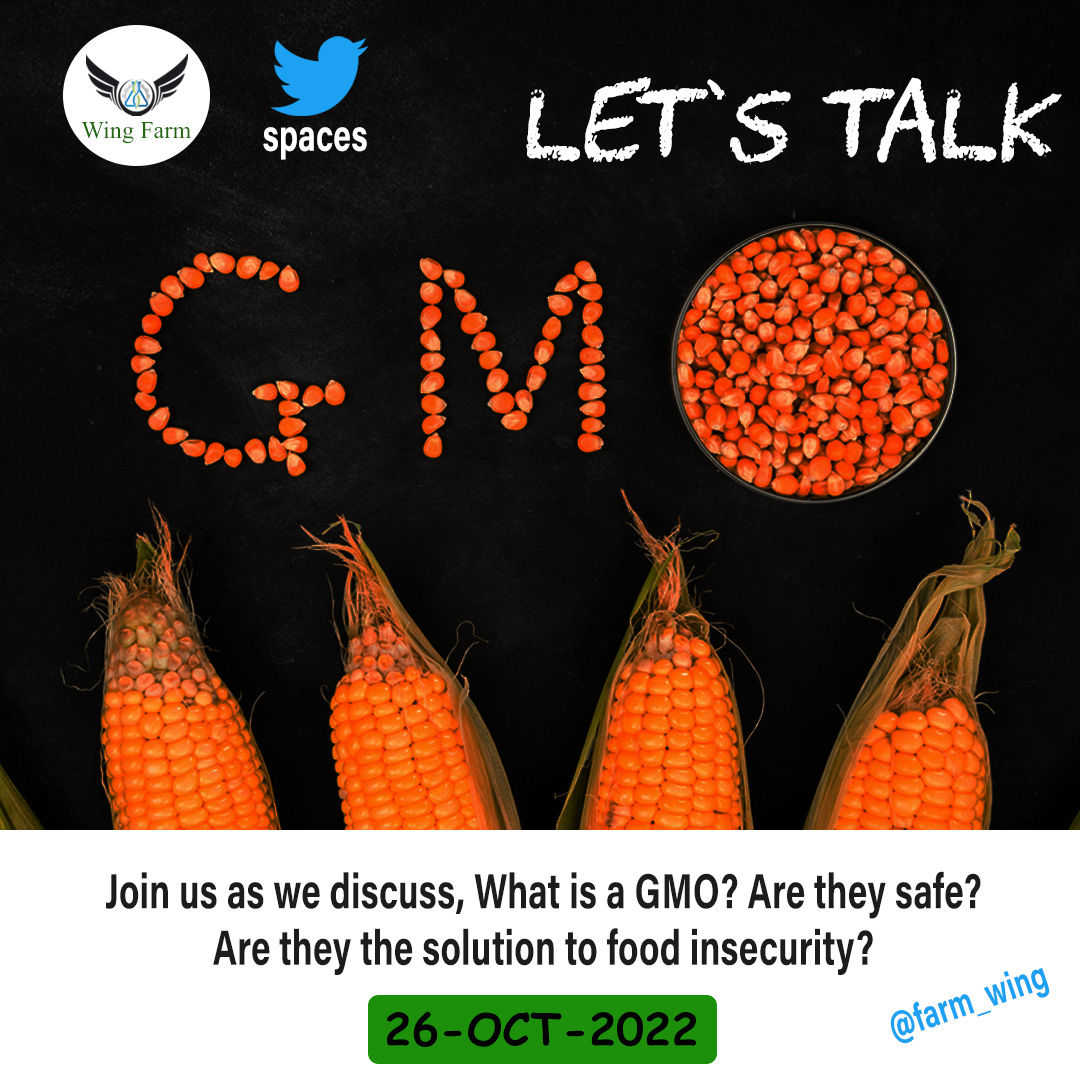 What is a genetically modified organism (GMO)? How do you make something that is a GMO? Are they safe? These are just a few of the things we will discuss on Wednesday at 8:00 PM
@CboWaso @BsflProtein @ihalalafrica @karume_only