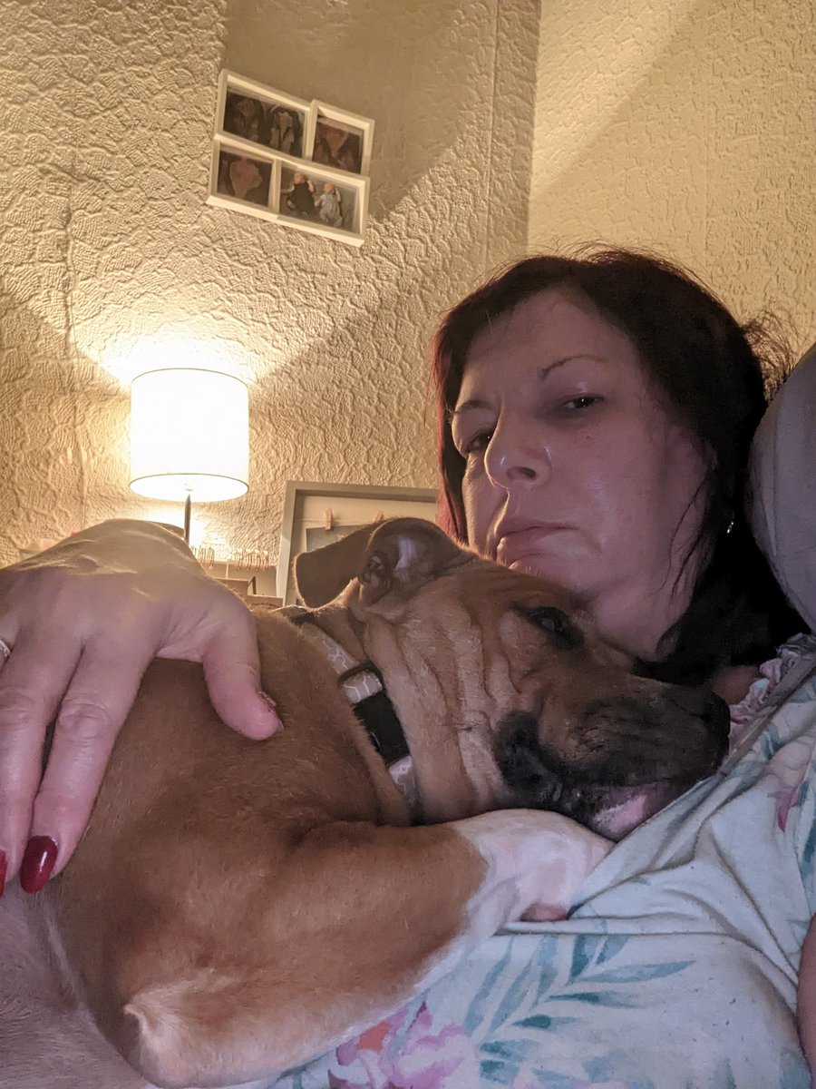 Lets start the week as we mean to go on. Have a marvellous monday everypawdy xx