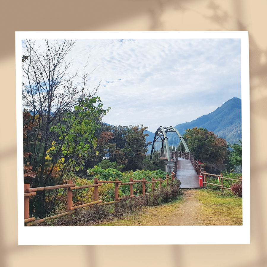 📸 포천시 sns 서포터즈 📸

-포천 한탄강의 가을-
익어가는 가을에 취해보세요~~~~^^

photo by_ 윤민영

#포천 #더큰포천 #더큰행복 #포천한탄강 #가을
#사진