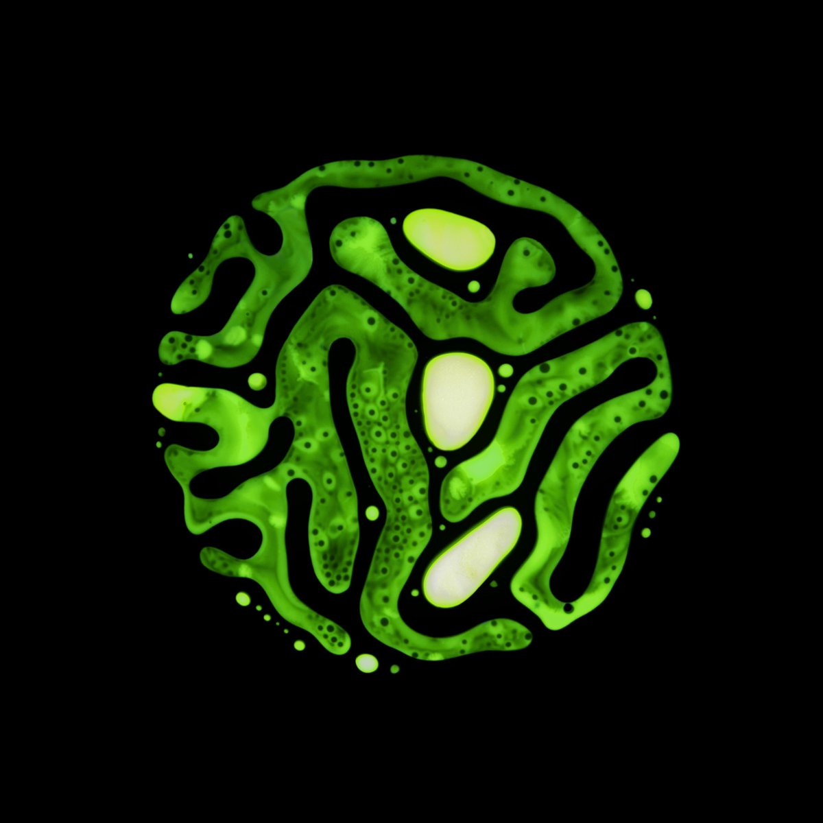 Gm cell lovers!
We hope you have a fantastic week!