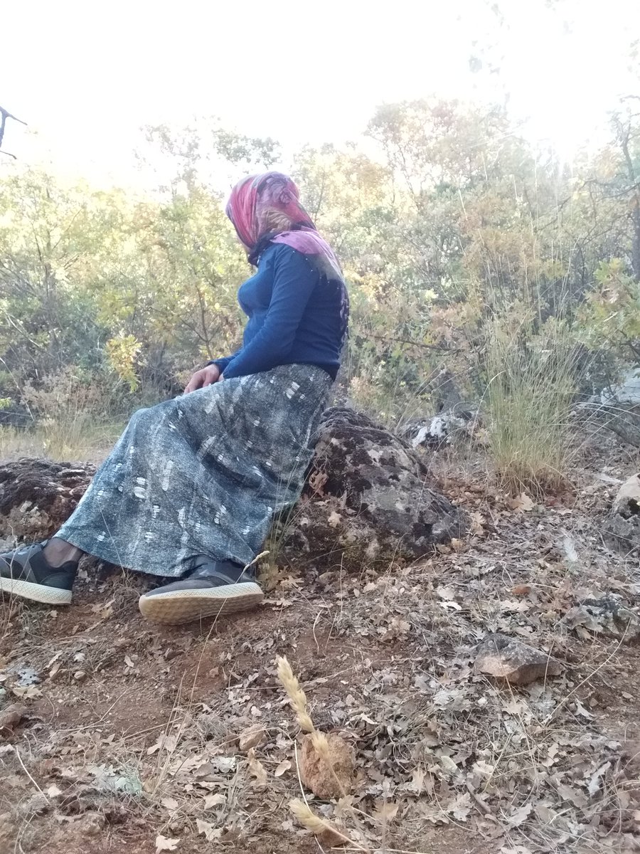 selma atac (@selmaatac1) on Twitter photo 