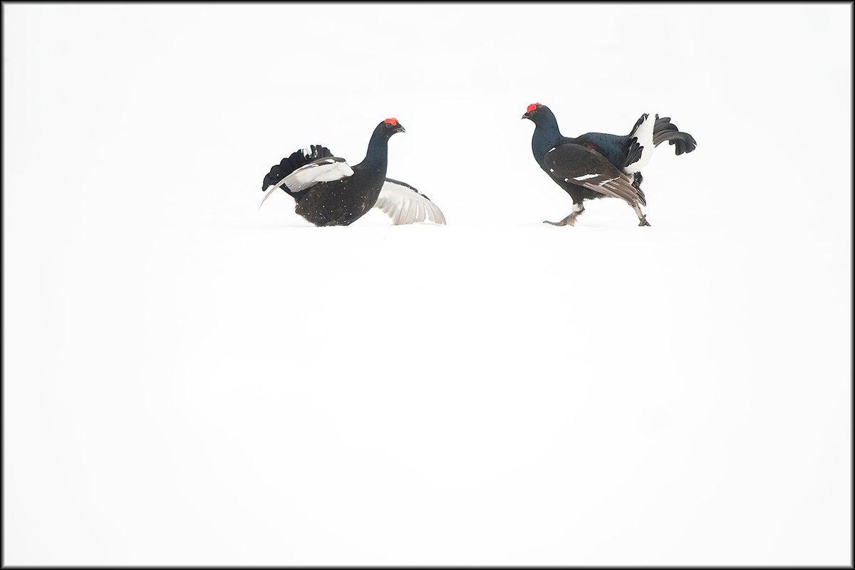 🛌 ¿Conocéis la técnica del "tumbing"? Nuestro compañero <a href="/FelixMorlan/">FELIX MORLAN GONZALEZ</a>  ha cedido este didáctico post del foro para hablarnos de esta técnica. 
Una perspectiva diferente para ver el mundo desde otro punto de vista.
📝 fonamad.org/a-ras-de-suelo/