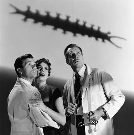 cinebeth's tweet image. Cinema Junkie's 31 Days of Horror
Day 23: Name your favorite William Castle film

Scream for your lives... The Tingler. If you want to go  high brow he did produce Rosemary's Baby. But The Tingler is a perfect horror package.

#31DaysOfHorror #cinemajunkie #williamcastle