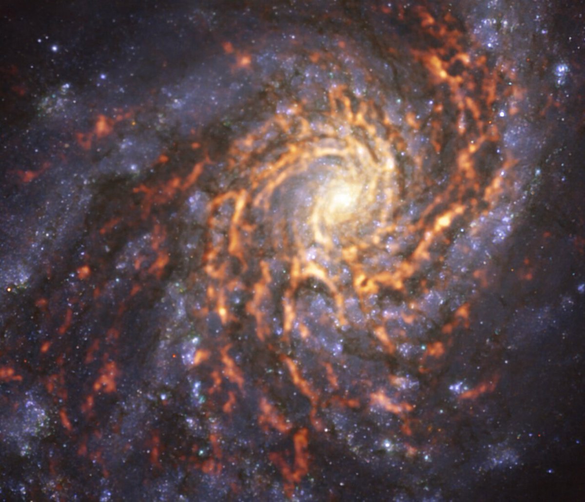 Our latest Picture of the Week features a pinwheel firework: the grand design spiral galaxy NGC 4254, also known as the Coma Pinwheel or Messier 99, that has a distinctive pinwheel shape with prominent arms. 🔗 orlo.uk/mTLNR Credit: @ESO /PHANGS