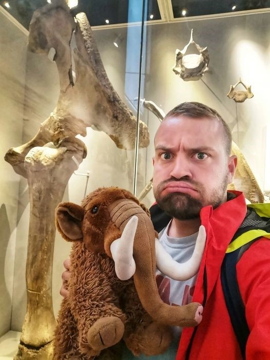 Shrewsbury Museum tweet media