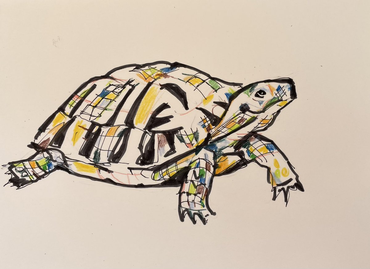 griseldamussett's tweet photo. #Zoodiac #PortfolioDay https://t.co/s3Bkyc751k