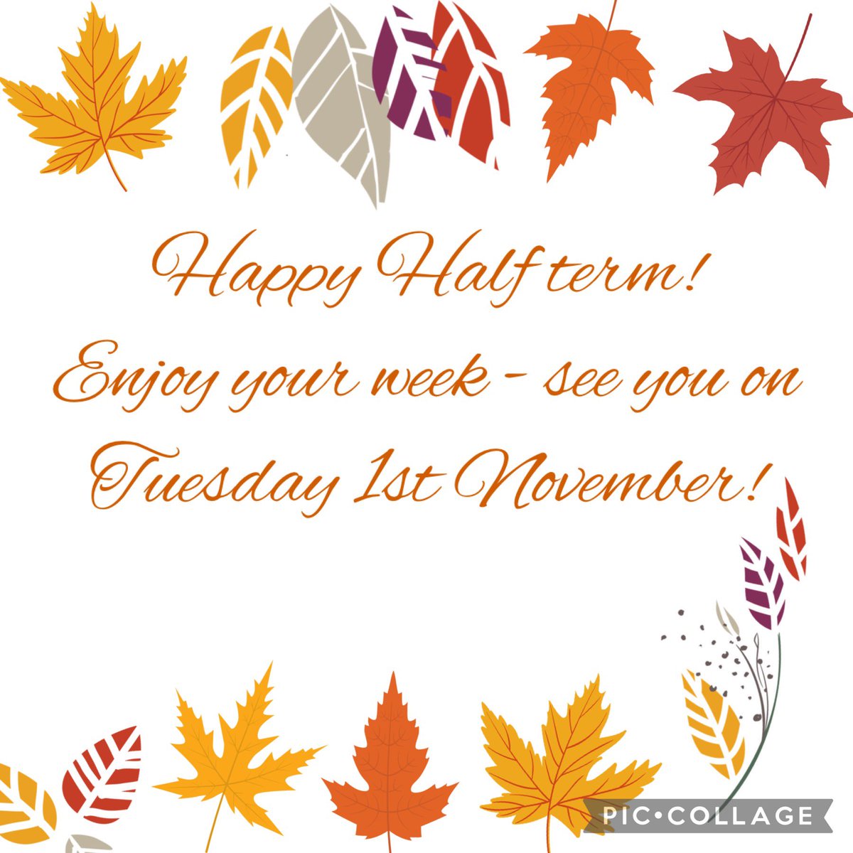 Cove Infant School tweet media