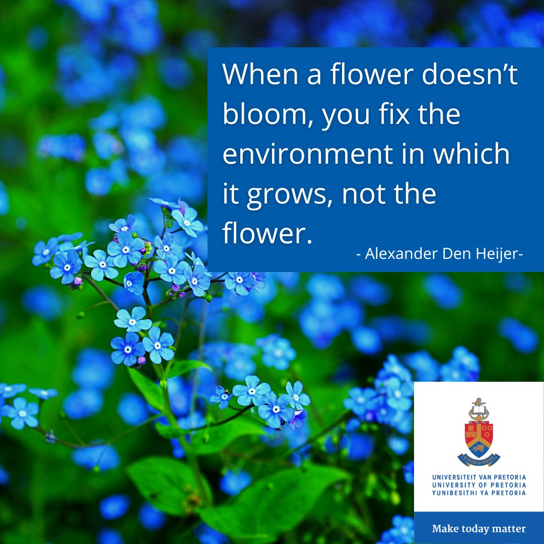 UPLibrary's tweet photo. It's a new week, do your best and make today matter!
Share this with a friend who could use
some #MondayMotivation ✏️📝
#UPLibrary #RightEnvironment https://t.co/CuOYiQkCkn