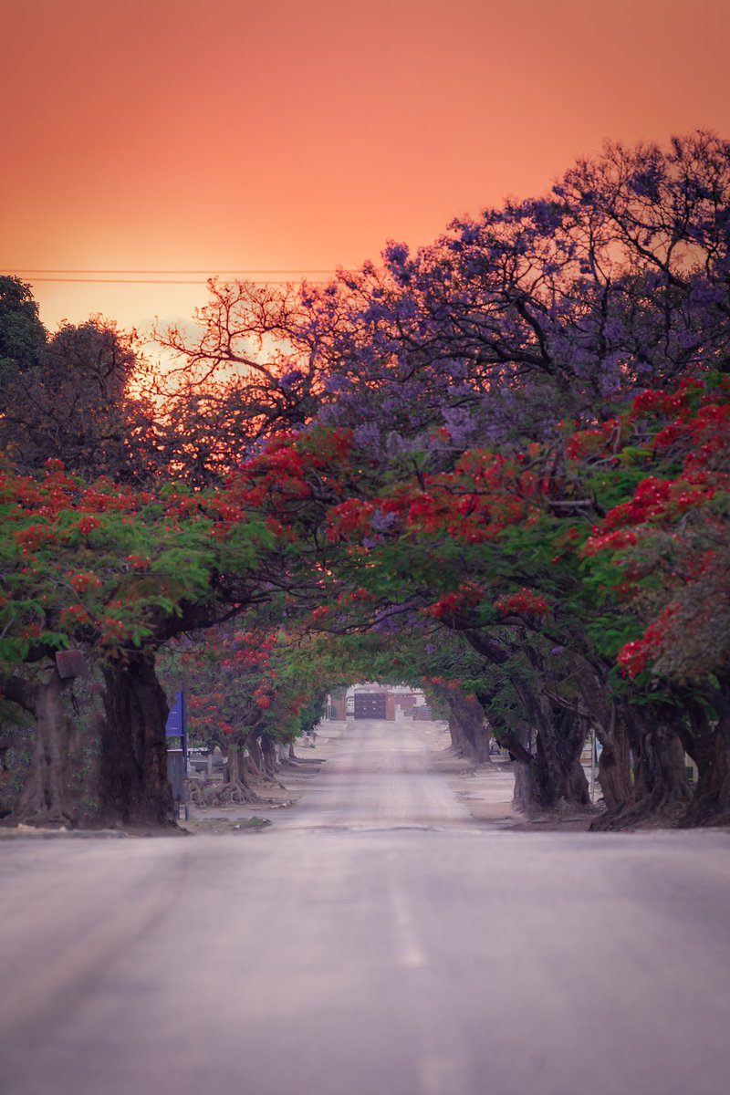 danapatelphoto tweet picture
