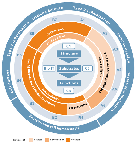 RTG2719 PRO tweet media