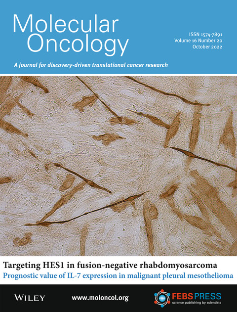 MolOncology's tweet photo. 🫣Our second October issue is online👻

On the cover: Myosin heavy chain in differentiated C2C12 murine myoblasts

👇Take a sneak peek of the latest research
🔓https://t.co/dXUMKtb44r 

#Rhabdomyosarcoma #UrothelialCancer #ExtracellularVesicles #Metabolism 
#CRCSM #ctDNA https://t.co/qmCSTTLhyA