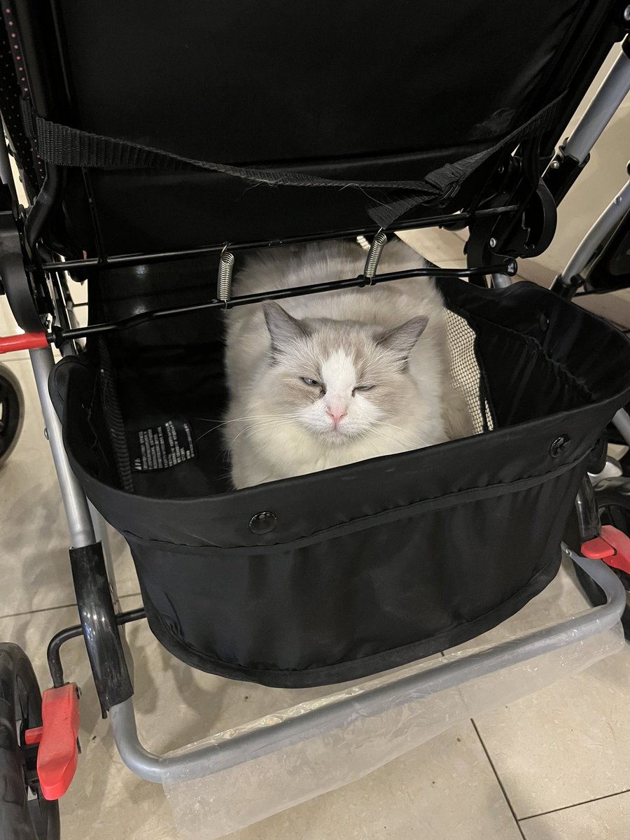 然后因为太无语转了个身