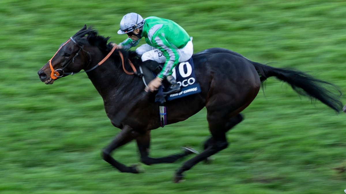 🗣️ "People who used him were very positive about him."

Change of residence for Queen Elizabeth II Stakes winner King Of Change

2,000 Guineas runner-up in switch to Micheal Orlandi's Starfield Stud 👉 bit.ly/3D0g65o