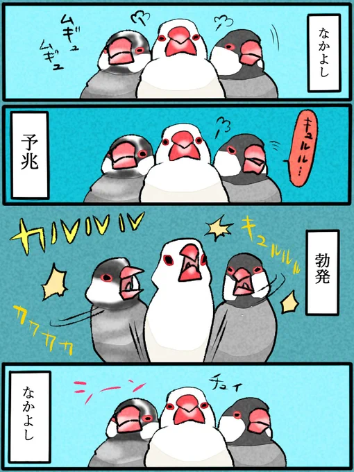 #文鳥の日 
#文鳥の日2022 