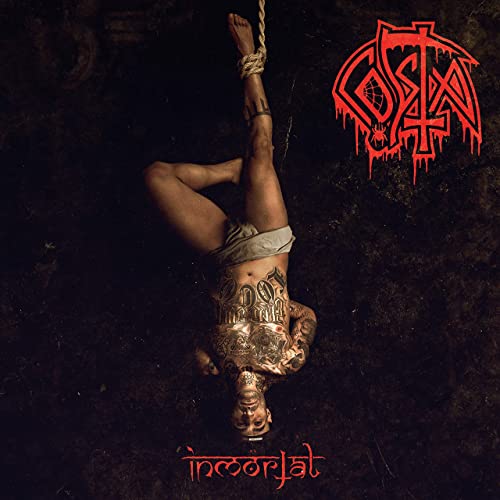 Hoy 23 de diciembre, se cumplen 8 años de la salida de 'Inmortal' de Costa

¿Canción favorita?