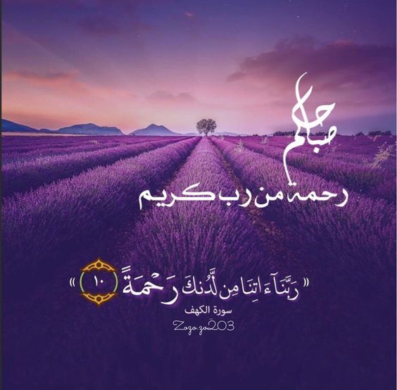 Ahmed Radwan 65 (@65_radwan) on Twitter photo 