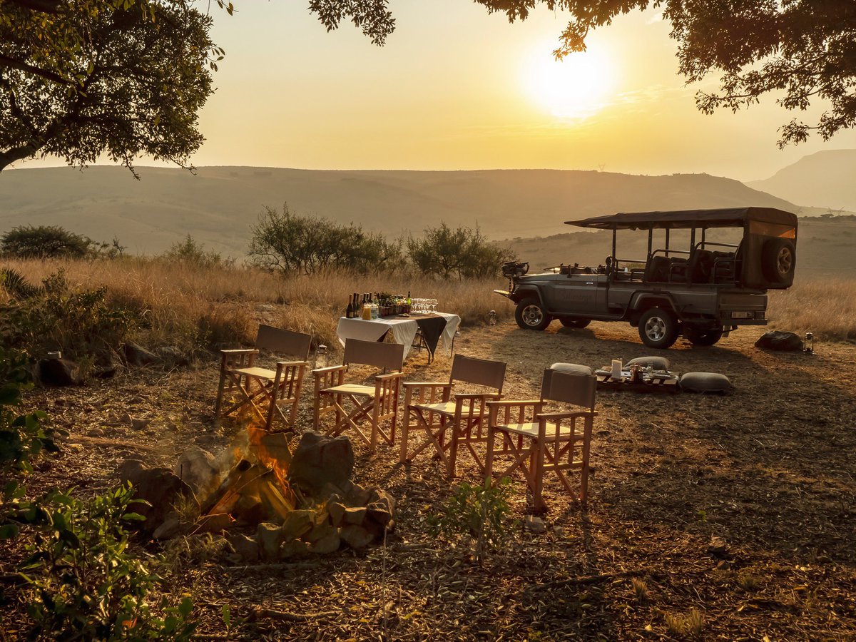 Sunset game drives - a guest favourite! One of the highlights for most of our Zulu Rock Lodge guests is our sunset game drive. #babanangogamereserve #zulurocklodge #safari #safarisouthafrica