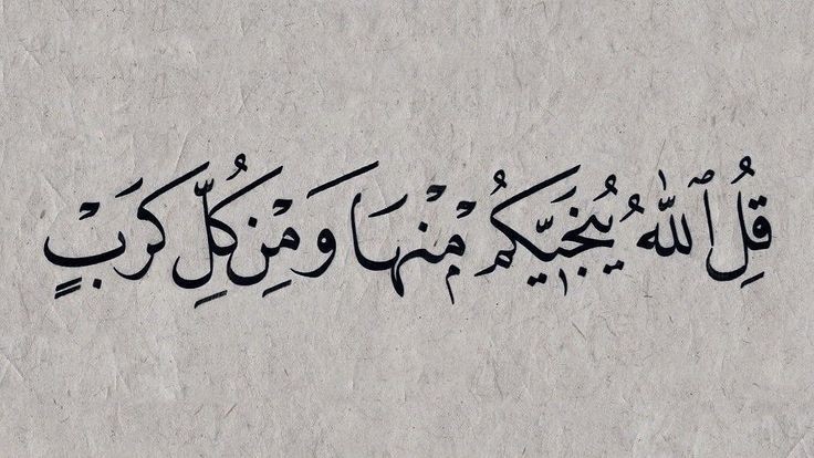 Ahmed Radwan 65 (@65_radwan) on Twitter photo 