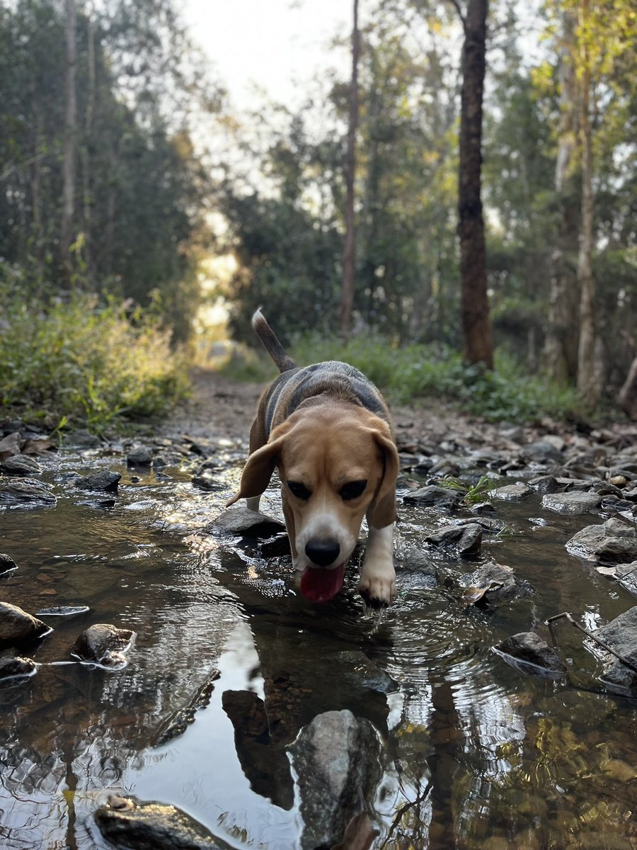 Brendypls tweet media