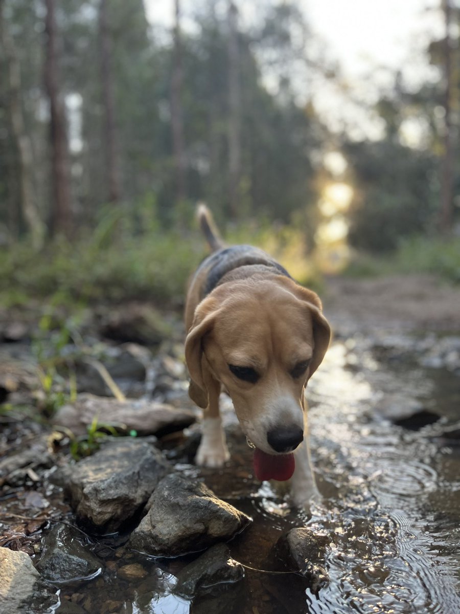 Brendypls tweet media