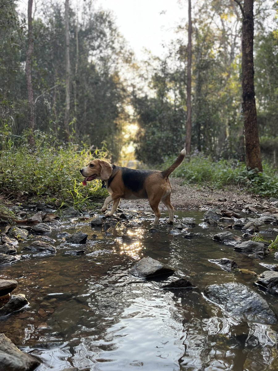 Brendypls tweet media