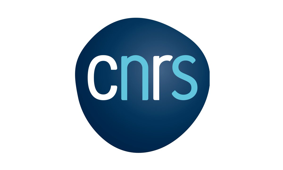 Concours CNRS. La Section 29 a formulé des recommandations qu'elle encourage fortement les candidats aux concours CRCN &amp; DR à suivre pour structurer leur dossier. Si vous souhaitez candidater, contactez les DUs pour les obtenir.