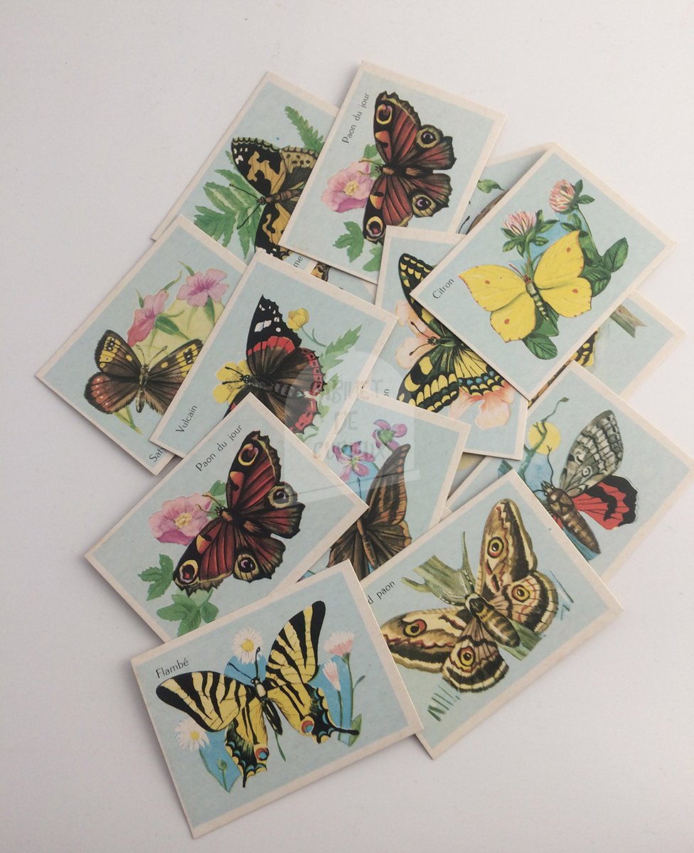 Cab_Curiosite's tweet photo. Une seule question :
Êtes-vous assez sage pour mériter ces bon-points ?
Si oui :
Disponibles ici :
https://t.co/BXE7QV4EEK
#papillon #vintage #retro #bonpoint #deco https://t.co/yq5t6IhhSa
