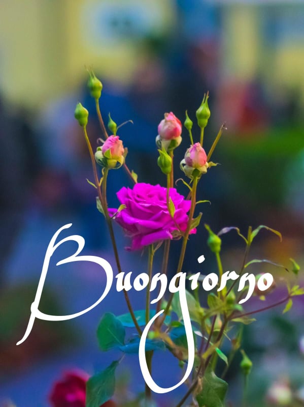 bezzone claudio (@bezzoneclaudio) on Twitter photo 