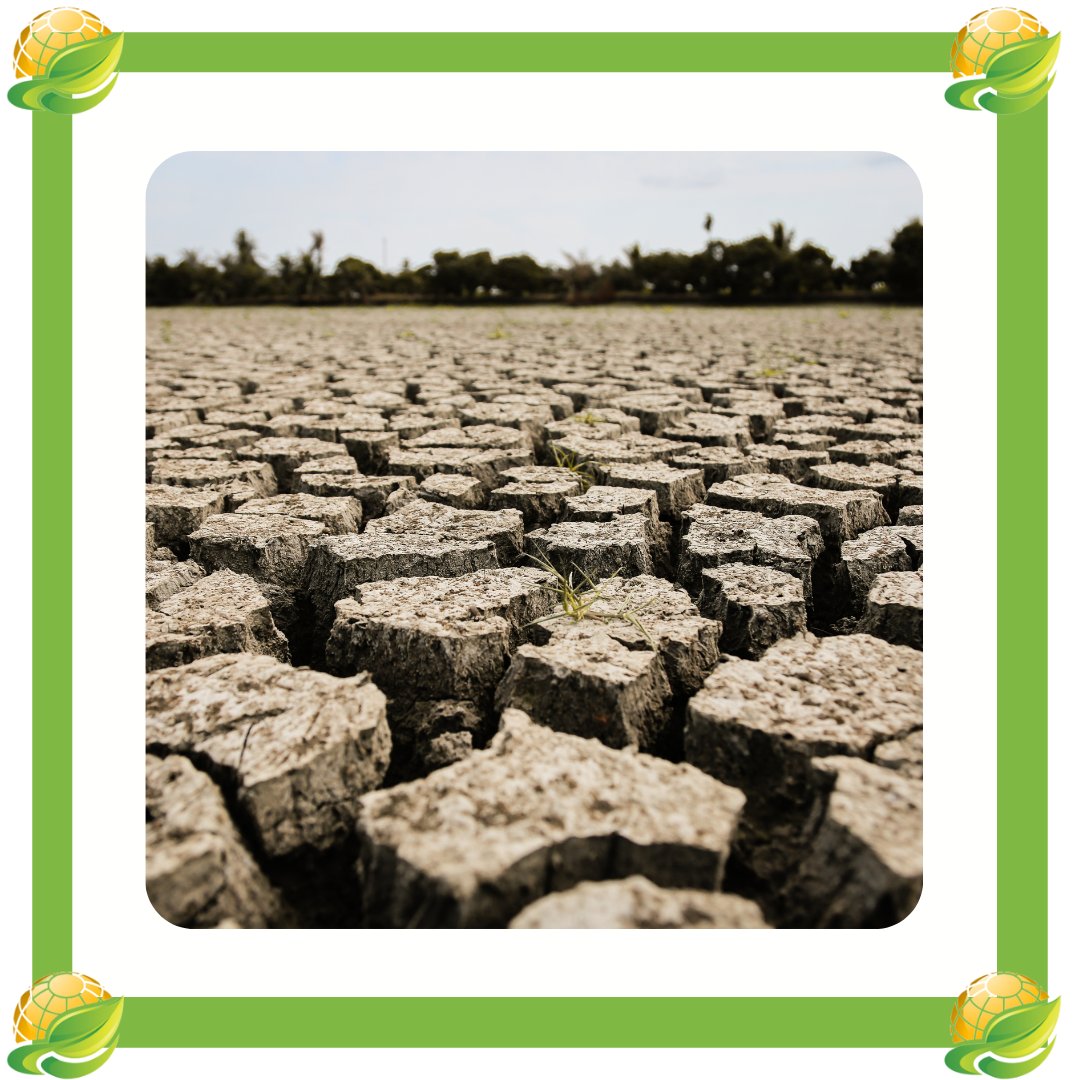 GreenActionSo's tweet photo. Rising global temperatures are responsible for the extreme weather we are seeing.

Climate change is not just a one-time event either. That's what makes it such a pressing issue. 

#greenactionsociety #climatechange #extremeweather #extinctionrebellion #climateactionnow #kenya https://t.co/8YY1RbrxhE