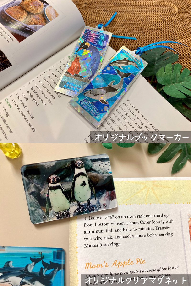 aquariumshimoda's tweet photo. フンボルトペンギンの
「No.71(愛称:ヨンチャン)」
「No.66(愛称:ブーネー)」
ペアの様子をパシャリ📸
写真には
お得な情報も載せました😊☆
#フンボルトペンギン #No71 #ヨンチャン #No66 #ブーネー #下田 #下田水族館 #伊豆 #下田海中水族館 #水族館 #ペンギン #コツメカワウソ もいるよ! https://t.co/OikbvMrEBO
