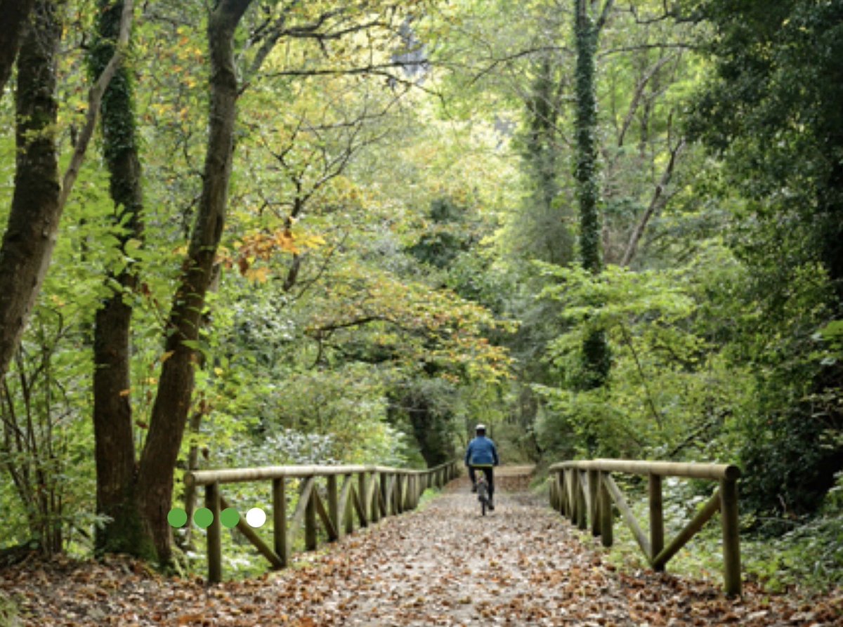sendadeloso's tweet photo. La Senda con toda la info en Rutas #Asturias #ParaísoNatural  #sendadeloso #vallesdeloso ▶️ https://t.co/ABrKnQih0B vía @turismoasturias https://t.co/5CPRdWUMoA
