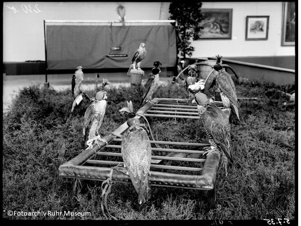 Ruhr Museum (@ruhrmuseum) on Twitter photo Über die Ausstellung „Mensch und Tier im deutschen Lebensraum“, die 1935 in der #Gruga gezeigt wurde und aus welcher Perspektive das Forschungsfeld #MenschundTier gegenwärtig angegangen wird, spricht <a href="/PatrickJung0411/">Patrick Jung</a>, Leiter unserer Archäologischen Sammlung, am Do. um 18 Uhr. Über die Ausstellung „Mensch und Tier im deutschen Lebensraum“, die 1935 in der #Gruga gezeigt wurde und aus welcher Perspektive das Forschungsfeld #MenschundTier gegenwärtig angegangen wird, spricht <a href="/PatrickJung0411/">Patrick Jung</a>, Leiter unserer Archäologischen Sammlung, am Do. um 18 Uhr.