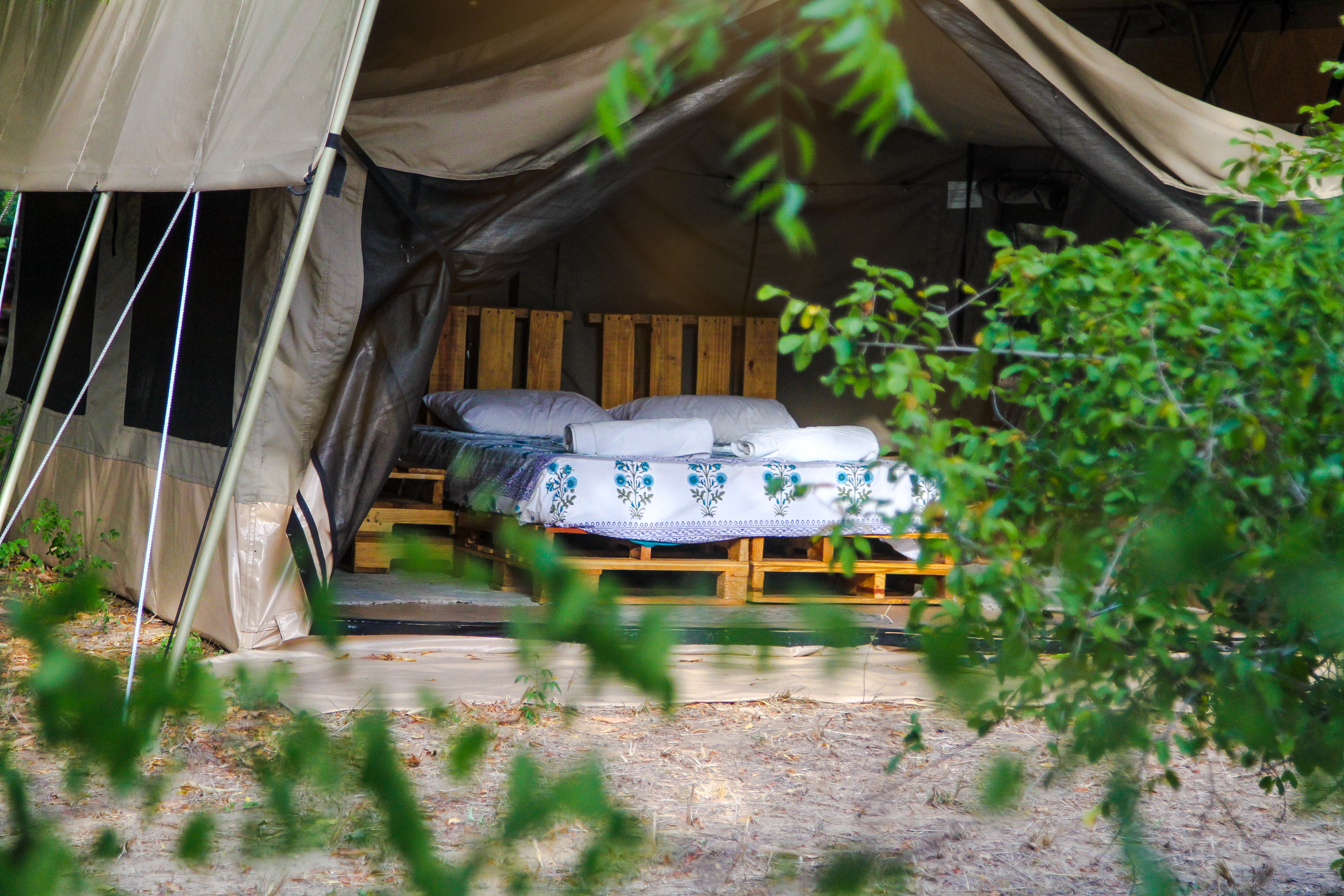 nye-2023-in-kilifi-we-re-on-on-twitter-2-3-safari-glamping-tents-by