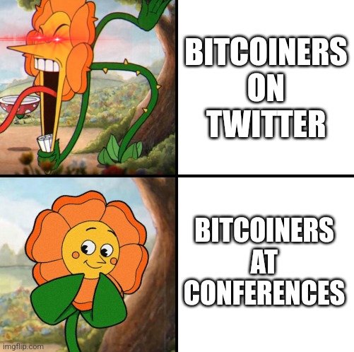 Morpheus | Bitcoin Artifacts tweet media