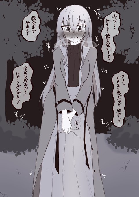 公園のトイレが使用禁止だったシスターさん…… 