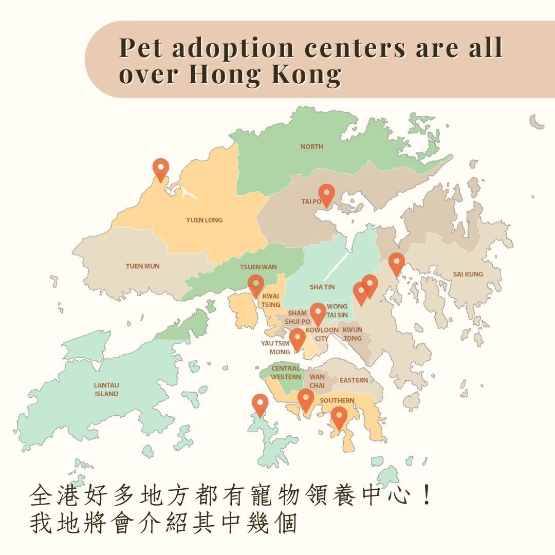cityu_vms's tweet photo. We have summarised a few major animal #adoptioncenter or opportunities in Hong Kong. We are also grateful to have Dr Stefan Hobi to share his view with us. 🐾🩺✨ (2) https://t.co/502YO4EEMC