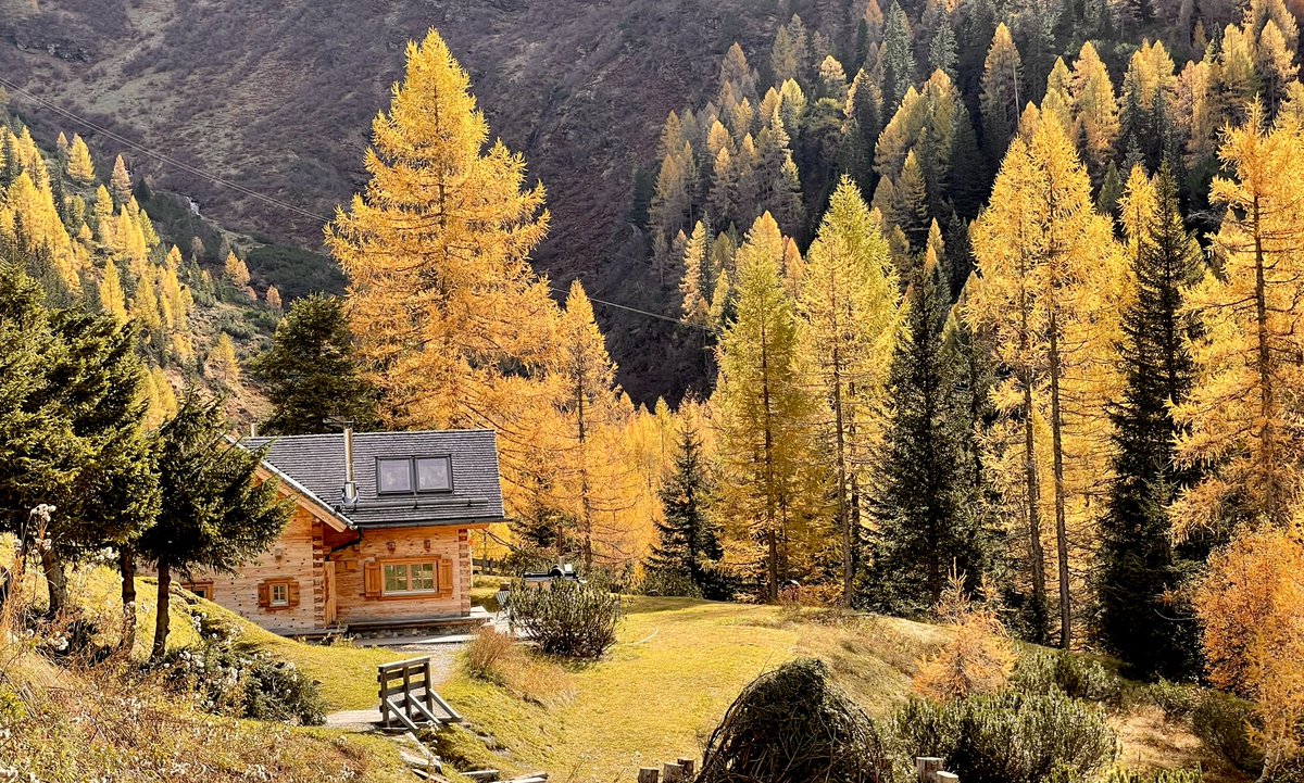 helialpin's tweet image. 🍁🍂☀️IndianSummer☀️🍂🍁 😘