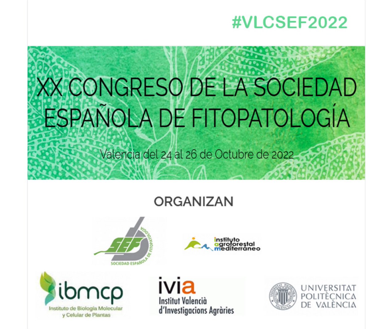 IBMCP's tweet photo. Empieza el XX Congreso de la Sociedad Española de Fitopatología @SEFitopatologia en #Valencia
Hasta el 26Oct. en Campus @UPV
Hoy el #IBMCP en la Ponencia Plenaria II:
Carmen Hernández y Leandro Peña
Usa HT #VLCSEF2022
Organizan #IAM @IBMCP @GVAivia 
Info👇
https://t.co/T9CtfyjG1O https://t.co/DLNs8mOLfN