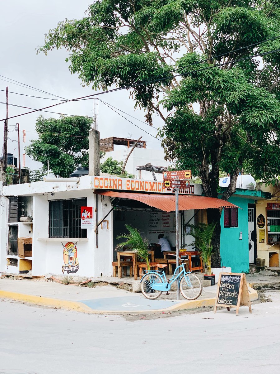 insta_Hop's tweet photo. Magic is around every corner in Tulum, Mexico 🌿🌊 

Planning a trip to the Riviera Maya? Click the link in bio to explore instaHop experiences. 🌎 https://t.co/sRbOtVBuBS