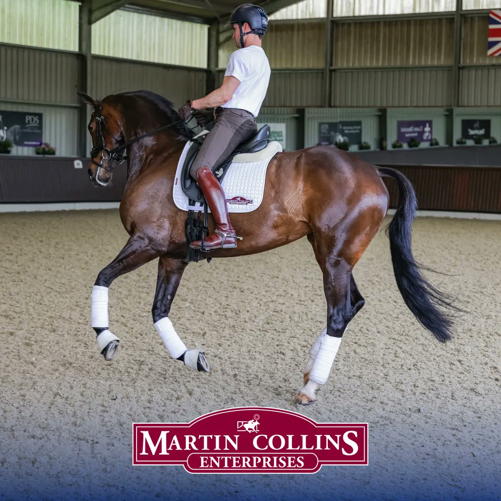 MCE_Surfaces's tweet photo. Looking to install a new surface or upgrade to a new one? @HesterDressage chose Ecotrack for his indoor surface and hasn’t looked back.
“They rode perfectly from day one and all my horses seem to have an extra spring in their step!” – Carl Hester MBE
#ecotrack #indoorarena https://t.co/WxGSlcPmDT