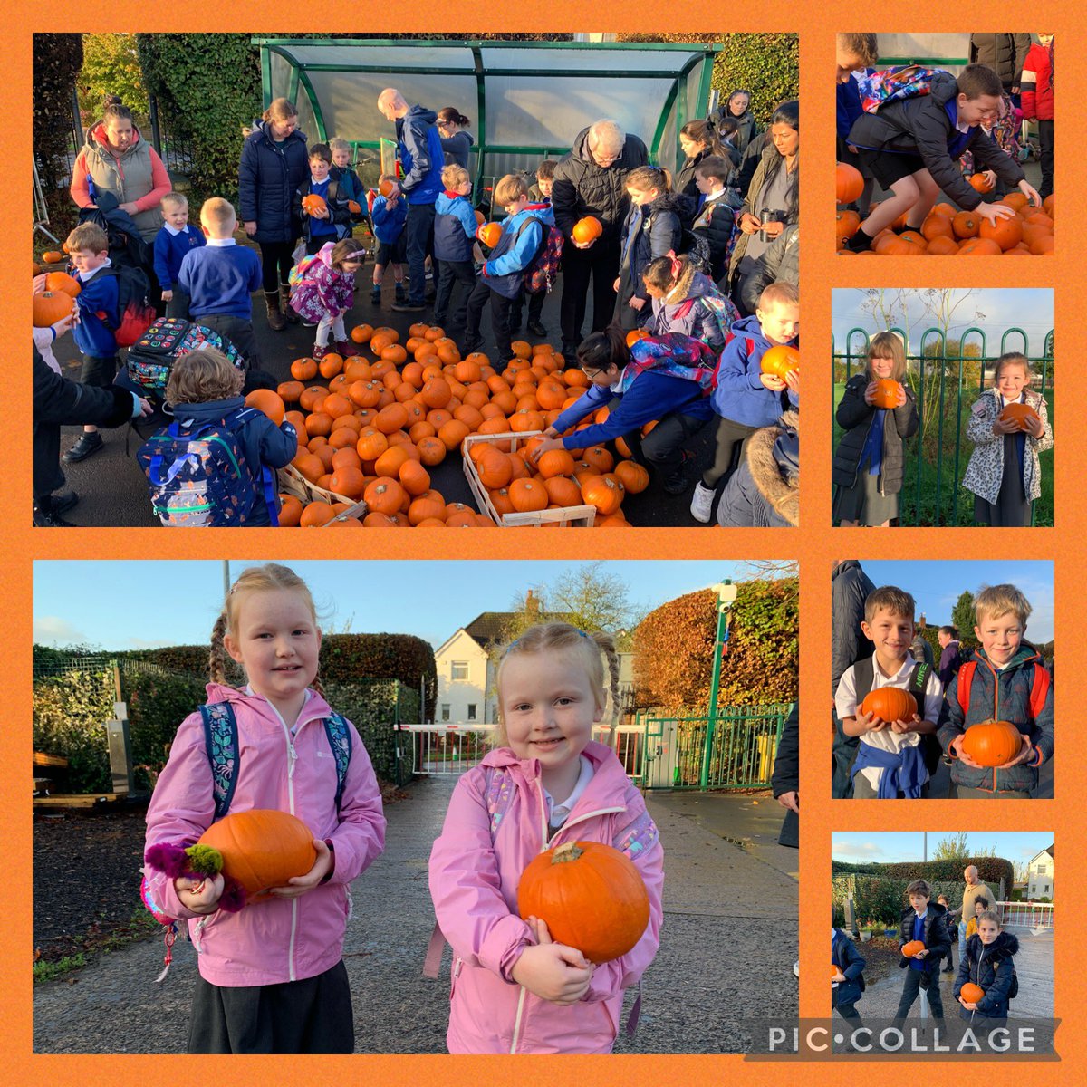 Llanishen Fach tweet media