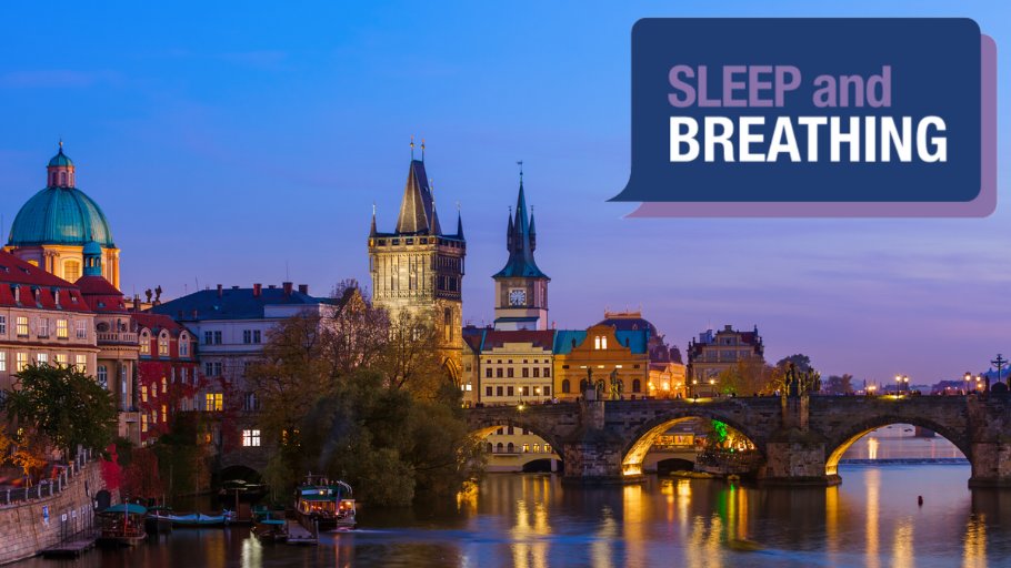 One week left to submit an abstract for the Sleep and Breathing Conference 2023! Submit your abstract before 31 October, 2022, for the opportunity to present your research to leaders in the field. 📍 Prague, Czech Republic 🗓 20–22 April, 2023 🔗 sleepandbreathing.org