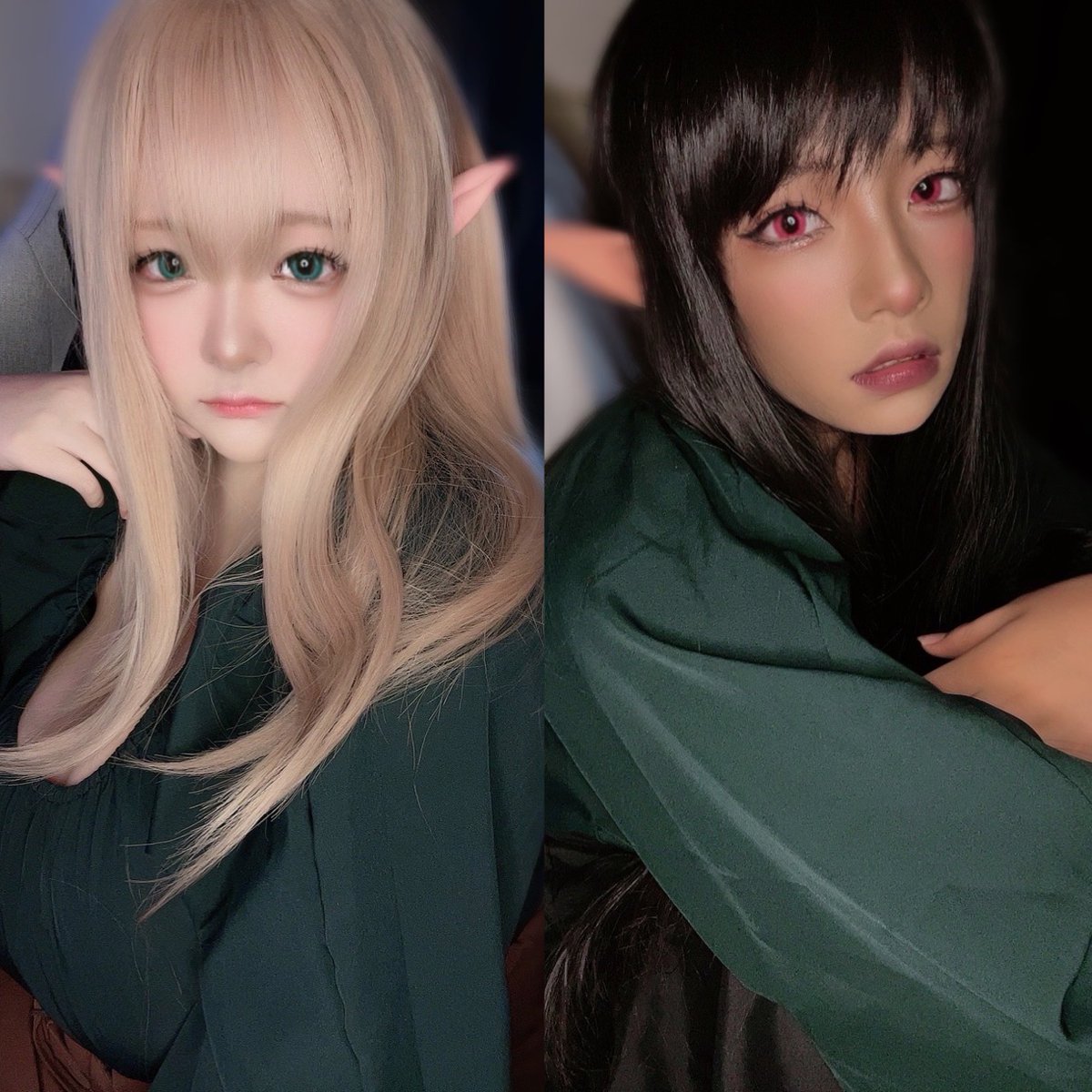 エルフとダークエルフ https://t.co/A1IXn5OVyL