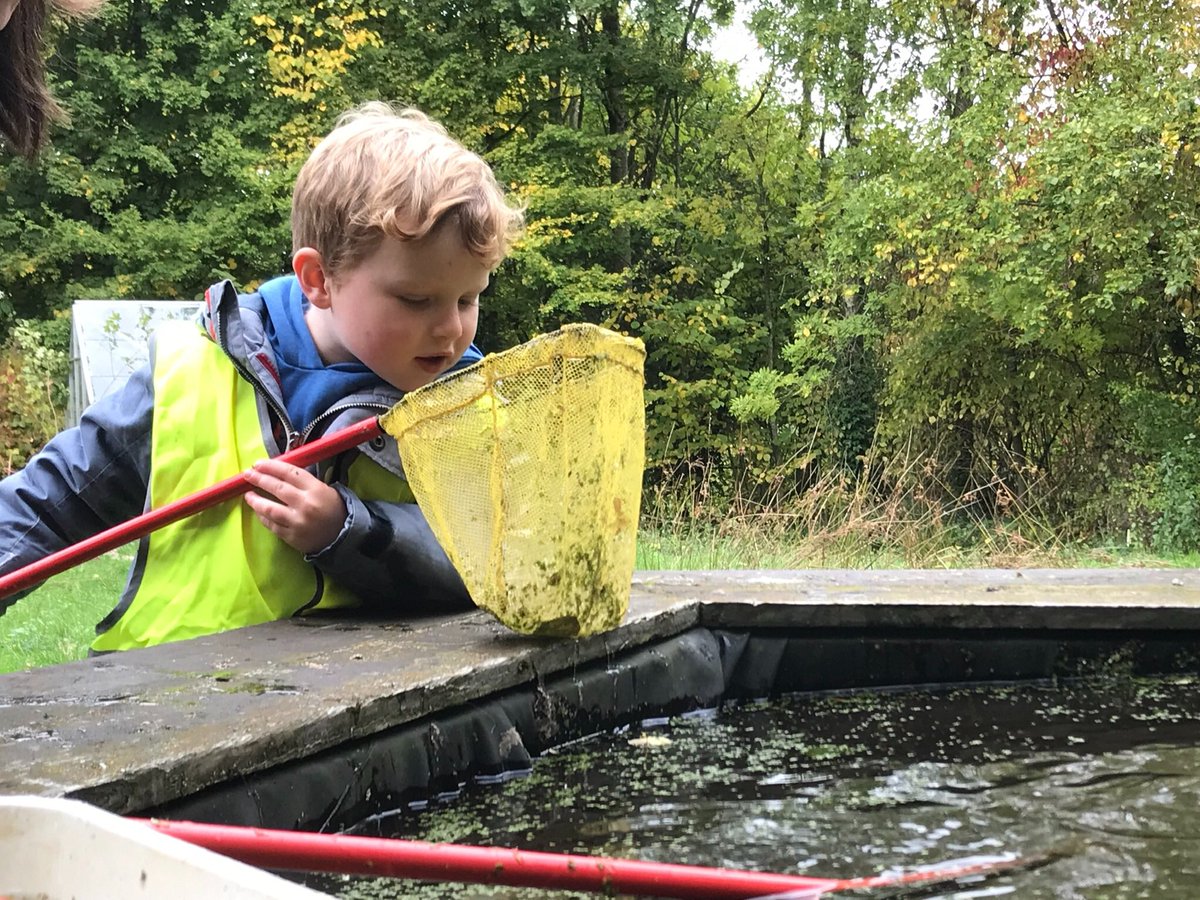 elton_school's tweet photo. KS1 had a great day out with @DerbysWildlife @STWCarsington. We were really busy, enjoying a bit of pond dipping, bug hunting 🕷🐛......
#schoolvisit #learningaboutnature #derbyshirewildlife #derbyshiredales #peakdistrict https://t.co/FBBRf8y6OW