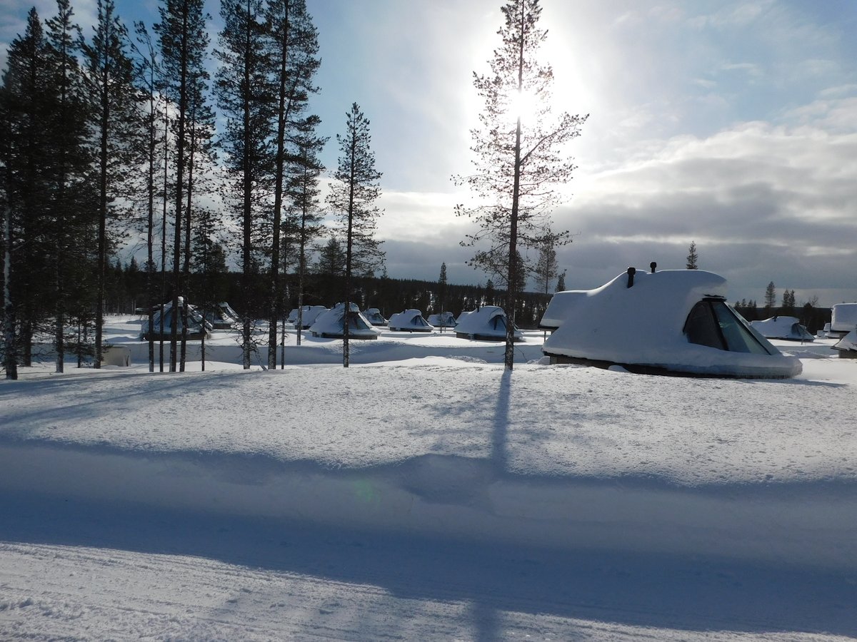 ArcticDirect's tweet photo. As we enter the winter season, why not book your trip to the Arctic?
Who wouldn't want to spend the night in an Igloo and wake up to snow?!🤩☃️
#snow #arctic #arcticdirect #igloo #finland #iceland https://t.co/Nwyn4i8XFr