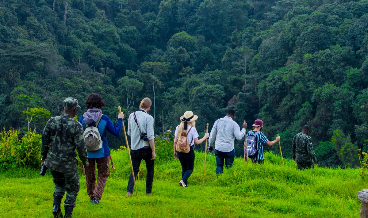TourismChamber's tweet photo. As you start a new week, visit Rwanda and embark on an unforgettable holiday experience.  Come and experience Rwanda 's beauty, indulge in some amazing trail experiences. https://t.co/X8YhwZVagi