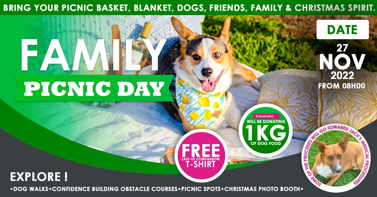 Paws-itive Paws-abilities tweet media